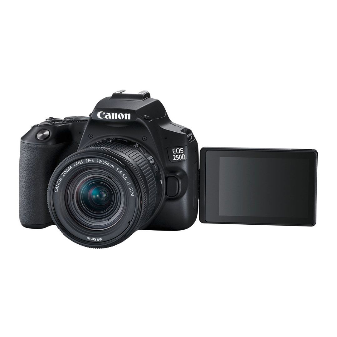 Canon EOS 250D (4K video) + EF-S 18-55mm IS STM - 1