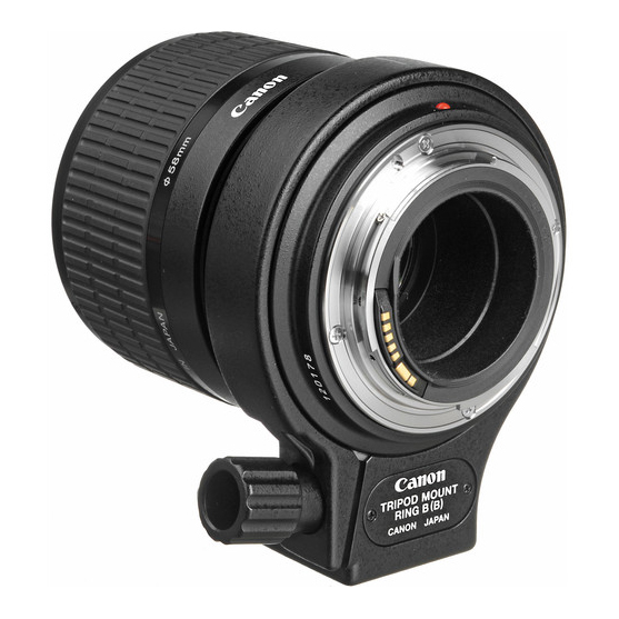 Canon MP-E 65mm f/2.8 1-5x Macro - 3