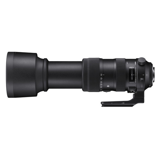 Sigma 60-600mm f/4.5-6.3 DG OS HSM Sports za Canon - 3