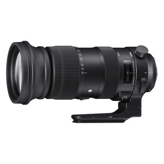 Sigma 60-600mm f/4.5-6.3 DG OS HSM Sports za Nikon - 1