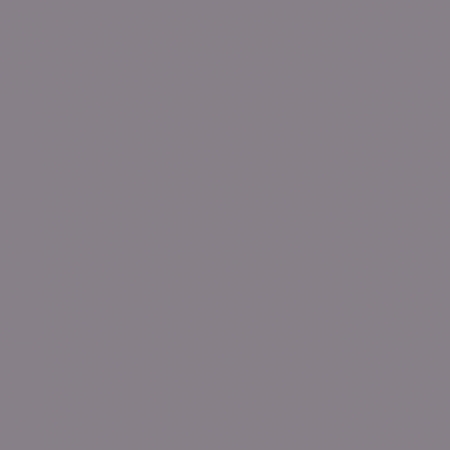 Visico Muslin pozadina sive boje 3x6m